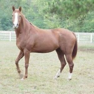 Meet your Posher, Eva